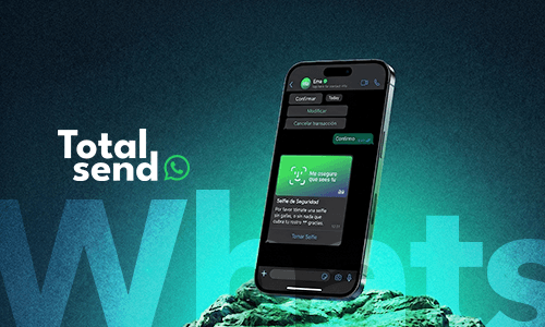 Total Send WhatsApp